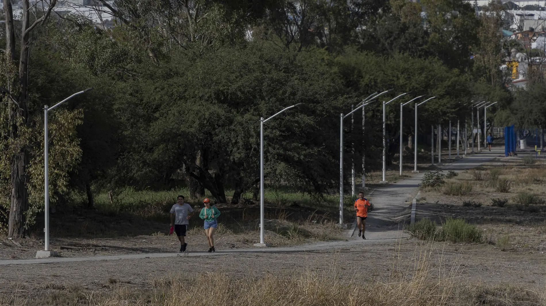 SJR El parque